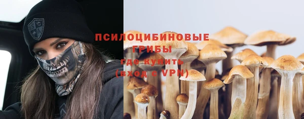 мескалин Верхний Тагил