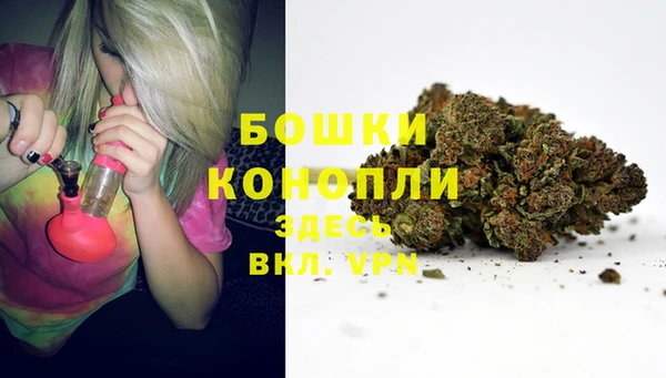 гидропоника Верея